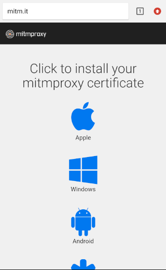 mitm cert